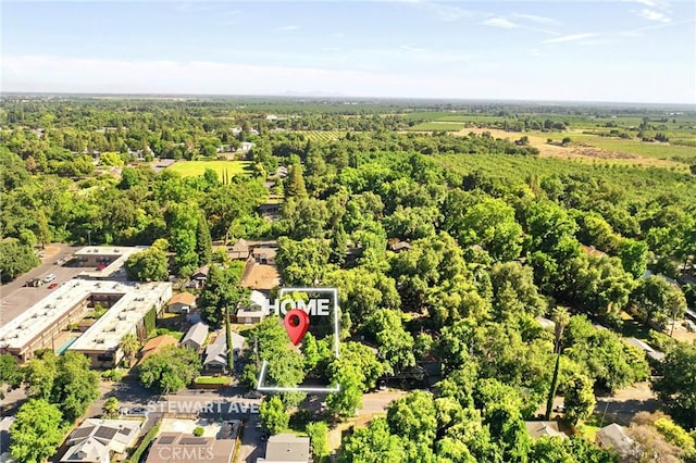 1131 Stewart Ave, Chico, CA 95926 - aerial view of a forest