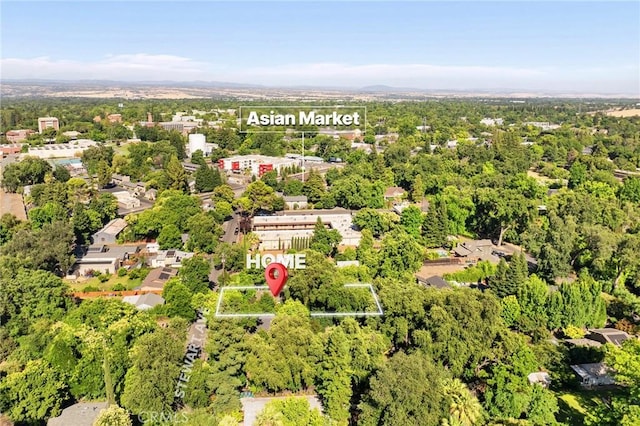 1131 Stewart Ave, Chico, CA 95926 - bird's eye view