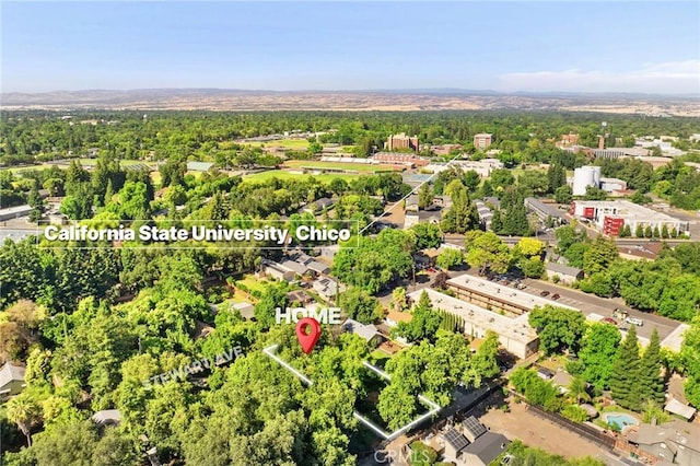 1131 Stewart Ave, Chico, CA 95926 - bird's eye view of a heavily wooded area