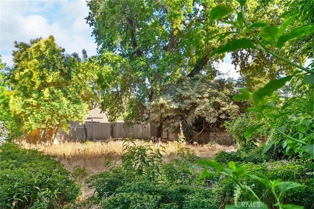 1131 Stewart Ave, Chico, CA 95926 - view of yard