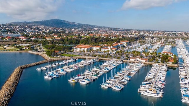 1323 Silvius Ave, San Pedro, CA 90731 - drone / aerial view of a marina and a water and mountain view