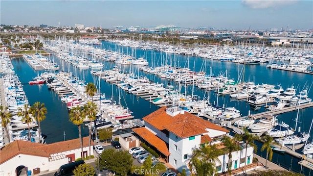 1323 Silvius Ave, San Pedro, CA 90731 - aerial view of numerous boat docks and a nearby body of water