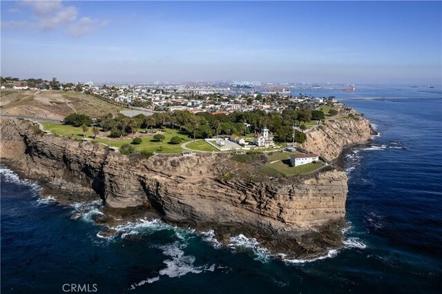 1323 Silvius Ave, San Pedro, CA 90731 - aerial view of a large body of water