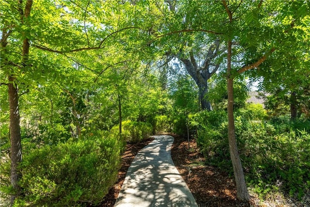 14220 El Monte Rd, Atascadero, CA 93422 - view of property's community with a view of trees