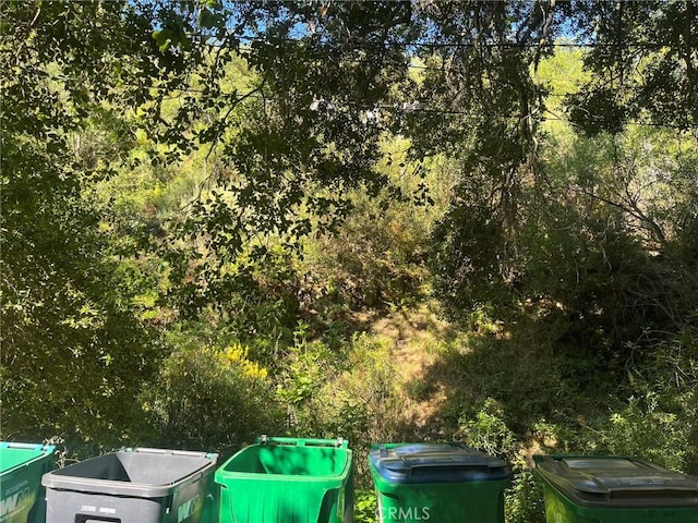 14875 Mill Rd, Silverado, CA 92676 - photo 7