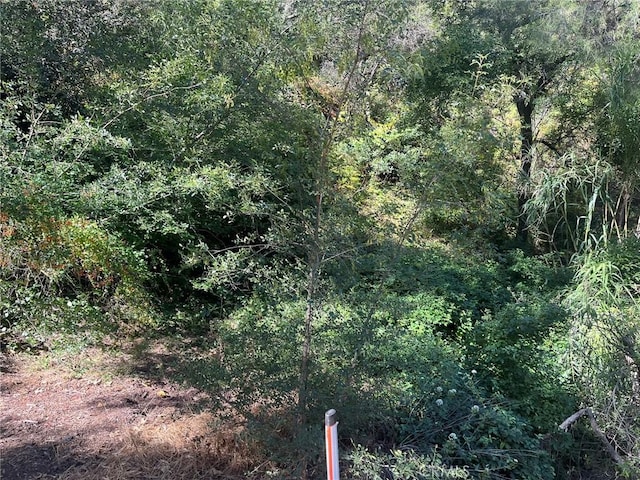 14875 Mill Rd, Silverado, CA 92676 - photo 2