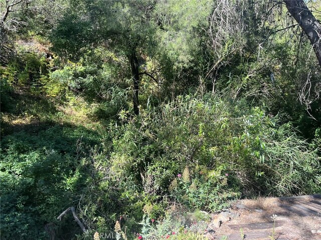 14875 Mill Rd, Silverado, CA 92676 - photo 3