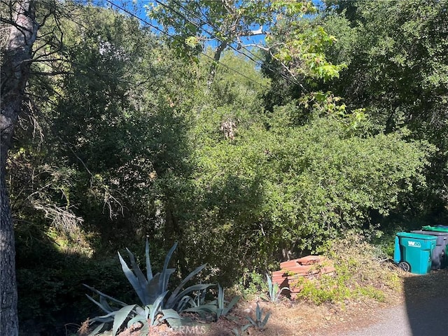 14875 Mill Rd, Silverado, CA 92676 - photo 5