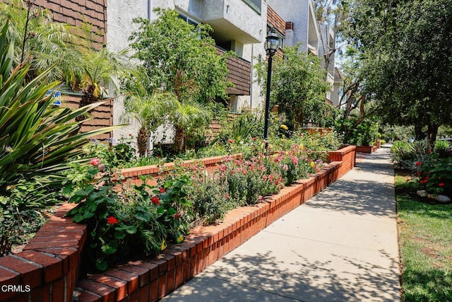 360 S Euclid Ave Unit 124, Pasadena, CA 91101 - surrounding community