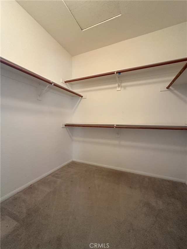 1256 Sunburst Dr, Beaumont, CA 92223 - walk in closet with carpet
