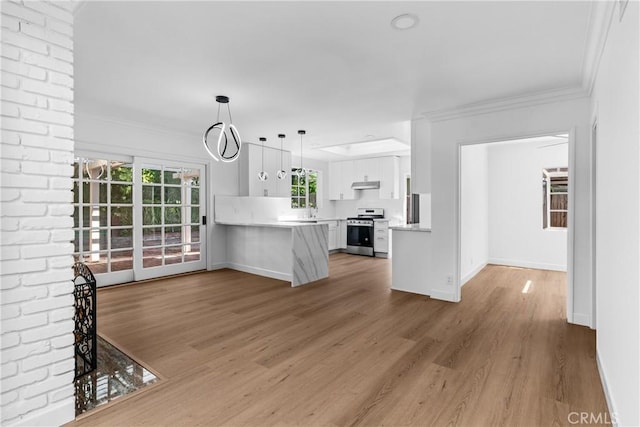 2610 Via Pacheco, Palos Verdes Estates, CA 90274 - unfurnished living room with light wood finished floors and ornamental molding