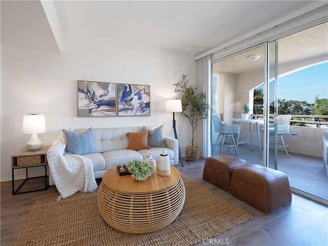 1281 Cabrillo Ave Unit 303, Torrance, CA 90501 - living room with wood finished floors