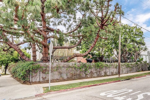 717 4th Ave, Venice, CA 90291 - photo 6