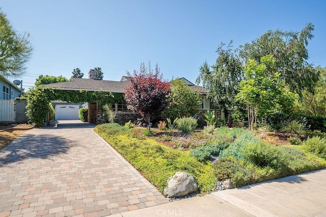 406 University Ave, Burbank, CA 91504 - view of property hidden behind natural elements with decorative driveway