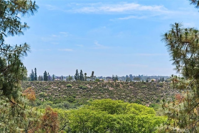 54 Hawaii Dr, Aliso Viejo, CA 92656 - view of undeveloped land