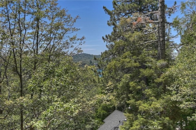 394 Emerald Dr, Lake Arrowhead, CA 92352 - mountain view with a heavily wooded area
