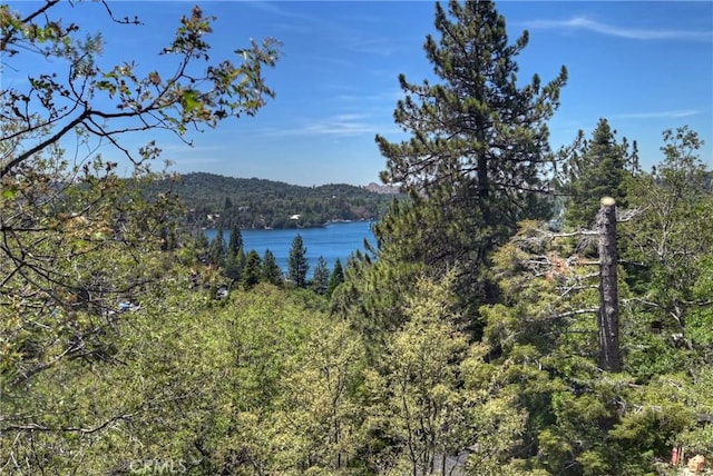 394 Emerald Dr, Lake Arrowhead, CA 92352 - water view with a heavily wooded area