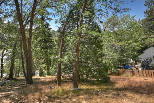 394 Emerald Dr, Lake Arrowhead, CA 92352 - view of yard