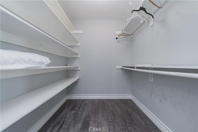 2325 N Linwood St, Santa Ana, CA 92705 - spacious closet with wood finished floors