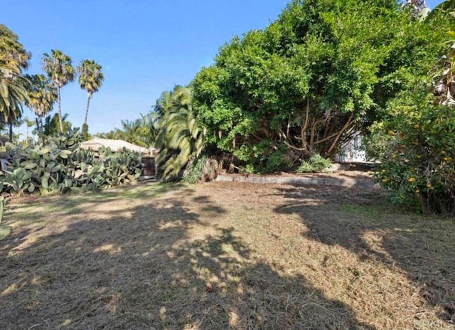 844 Saxony Rd, Encinitas, CA 92024 - view of yard