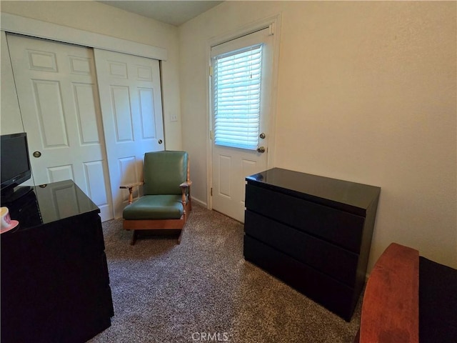 2445 Spring Dr, Running Springs, CA 92382 - bedroom with dark colored carpet and a closet