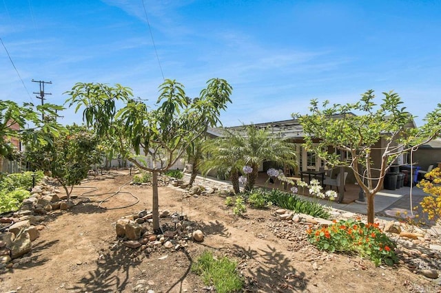6038 Bradford St, San Diego, CA 92115 - view of yard with a patio area