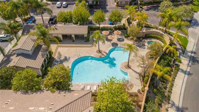26308 Arboretum Way Unit 201, Murrieta, CA 92563 - photo 49
