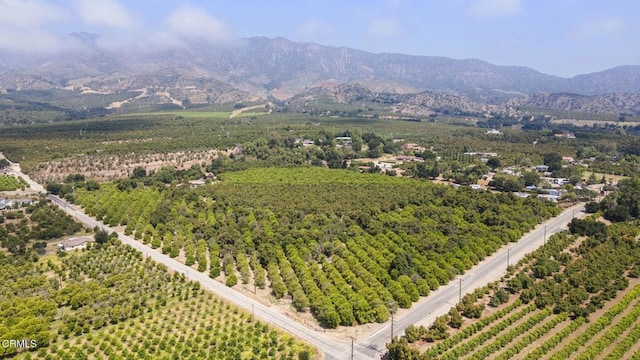 1613 Muir St, Fillmore, CA 93015 - view of mountain background with rows of crops and rural landscape