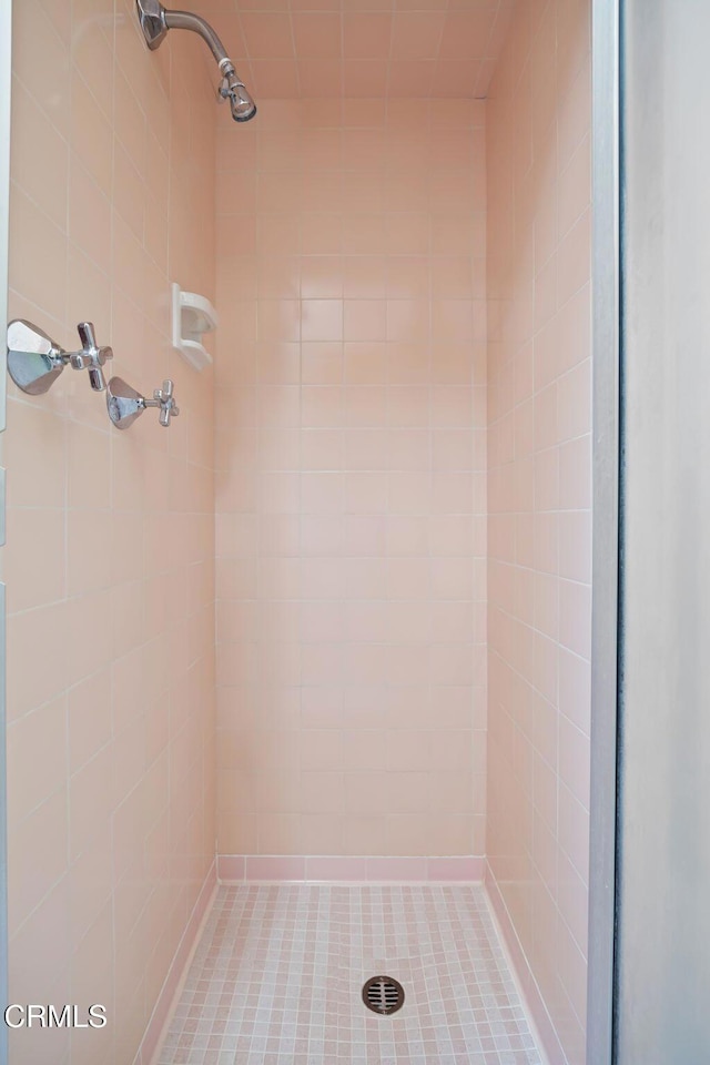 1613 Muir St, Fillmore, CA 93015 - bathroom with a shower stall