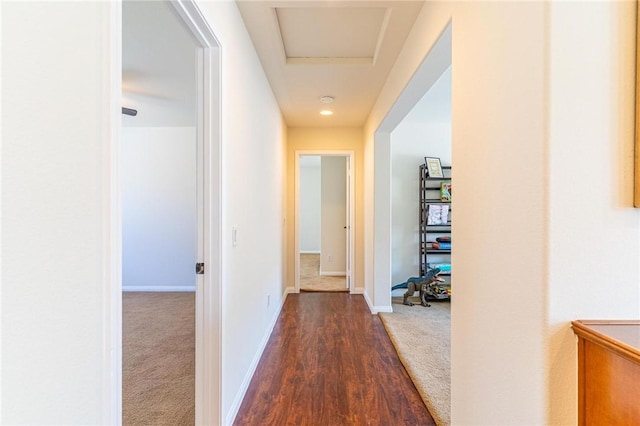 3867 Taconite Rd, San Bernardino, CA 92407 - hallway with dark colored carpet and dark wood-style flooring
