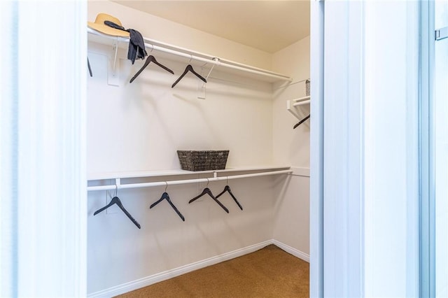 3867 Taconite Rd, San Bernardino, CA 92407 - spacious closet with carpet
