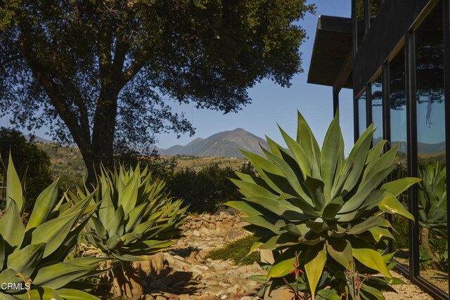 12293 Topa Ln, Santa Paula, CA 93060 - photo 48