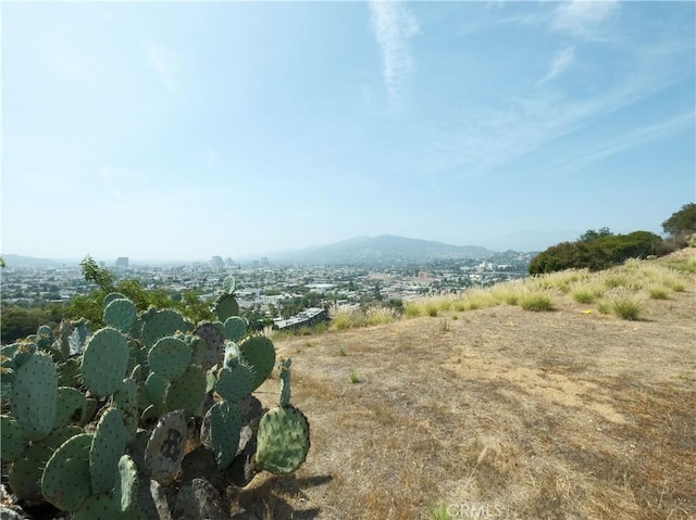 4751 Round Top Dr, Glendale, CA 90065 - photo 2