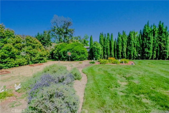 3376 Hackamore Ln, Chico, CA 95973 - view of green lawn
