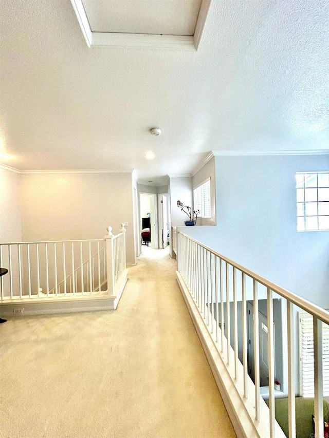 13638 Jadestone Way, San Diego, CA 92130 - corridor featuring ornamental molding, carpet flooring, an upstairs landing, a textured ceiling, and plenty of natural light