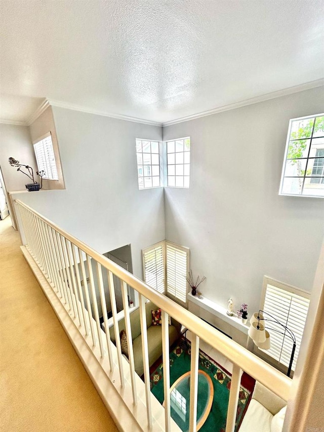 13638 Jadestone Way, San Diego, CA 92130 - stairway featuring ornamental molding, plenty of natural light, a textured ceiling, and carpet