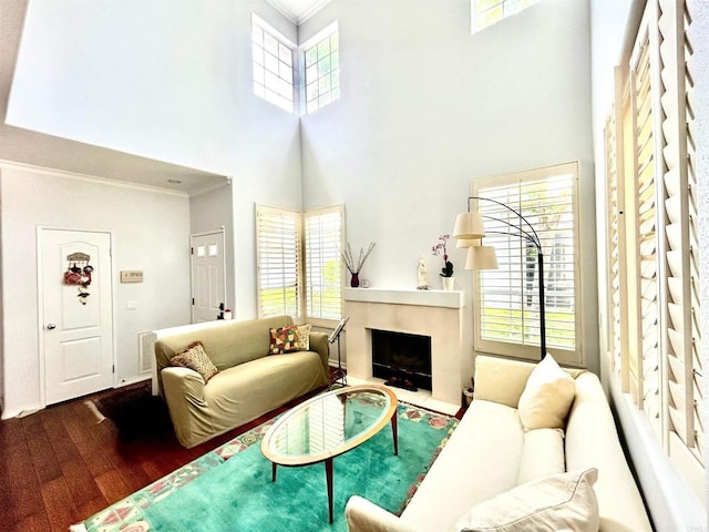 13638 Jadestone Way, San Diego, CA 92130 - living room with crown molding, a high ceiling, wood finished floors, and a fireplace with flush hearth
