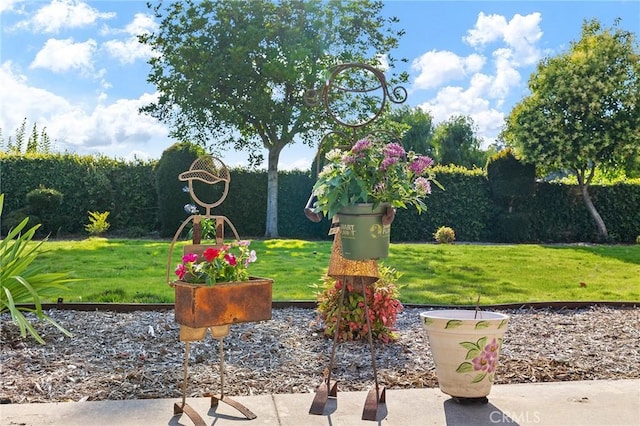323 N Hacienda Ave, Glendora, CA 91741 - view of grassy yard
