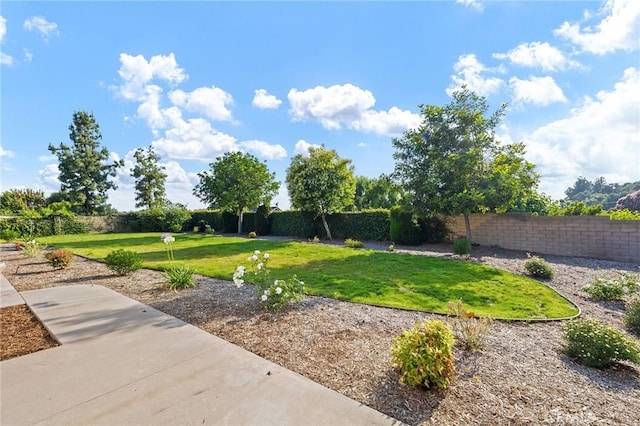 323 N Hacienda Ave, Glendora, CA 91741 - view of fenced backyard