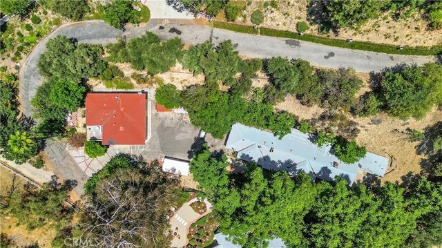 4905 Palo Dr, Tarzana, CA 91356 - photo 1