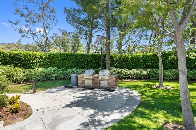 27811 Bloomfield Ct, Valencia, CA 91354 - view of patio featuring exterior kitchen