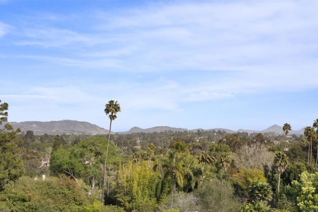 5508 Avenida Maravillas, Rancho Santa Fe, CA 92067 - view of mountain background with a heavily wooded area
