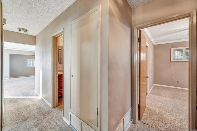 1106 Dawnridge Ave, El Cajon, CA 92021 - hall with carpet flooring, crown molding, and a textured ceiling