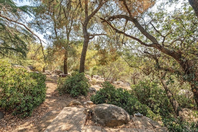 24903 Oakana Rd, Ramona, CA 92065 - photo 55
