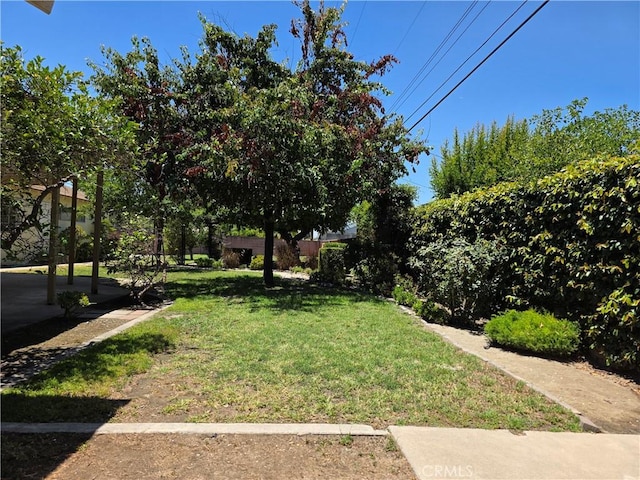 900 S Calico Cir, Anaheim, CA 92804 - photo 44