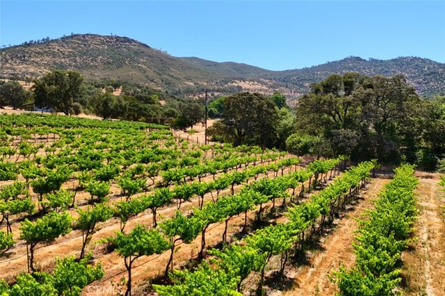 7551 Hunters Valley Rd, Mariposa, CA 95338 - photo 65