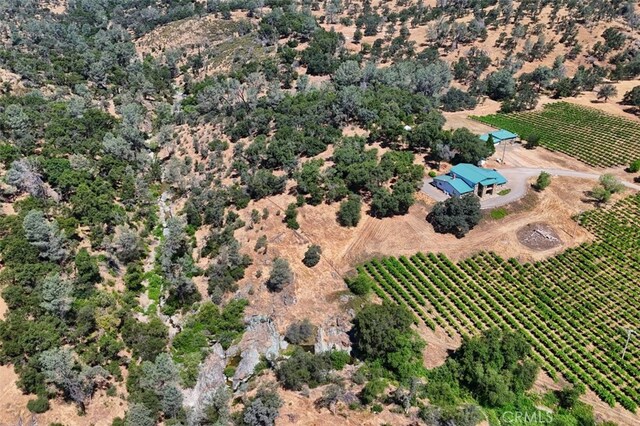7551 Hunters Valley Rd, Mariposa, CA 95338 - photo 68