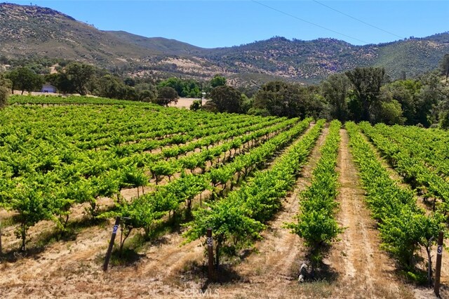 7551 Hunters Valley Rd, Mariposa, CA 95338 - photo 53