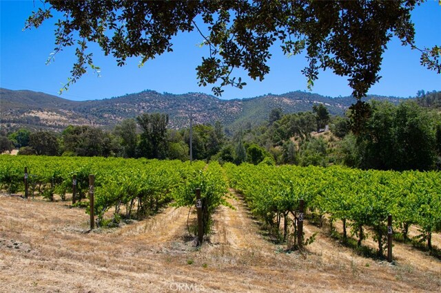 7551 Hunters Valley Rd, Mariposa, CA 95338 - photo 56