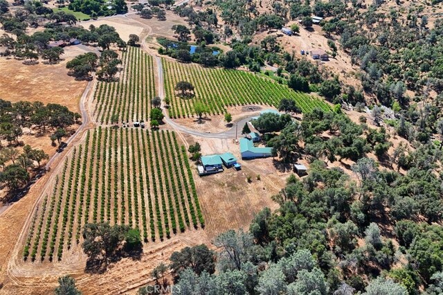 7551 Hunters Valley Rd, Mariposa, CA 95338 - photo 67